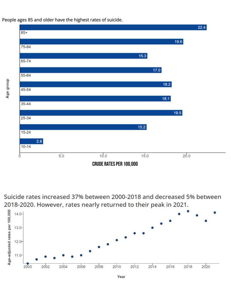 Infographic depicting rates of suicide by age and overall